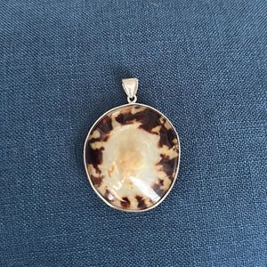 Pendant sea shell encased in a ring of silvertone metal with a bale for chain